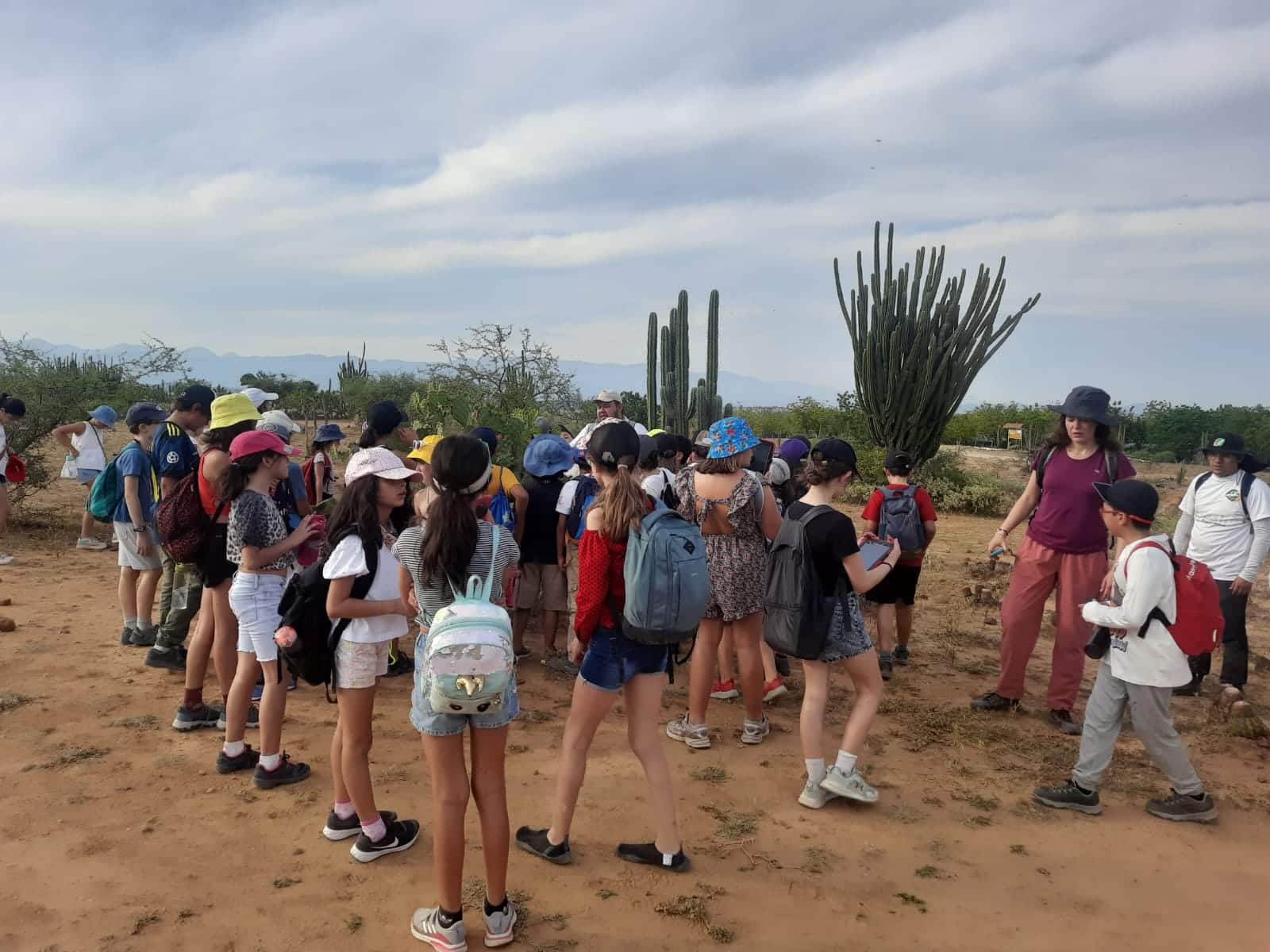 Estudiantes participando en dinámicas de aprendizaje experiencial que conectan la teoría del aula con la práctica real.