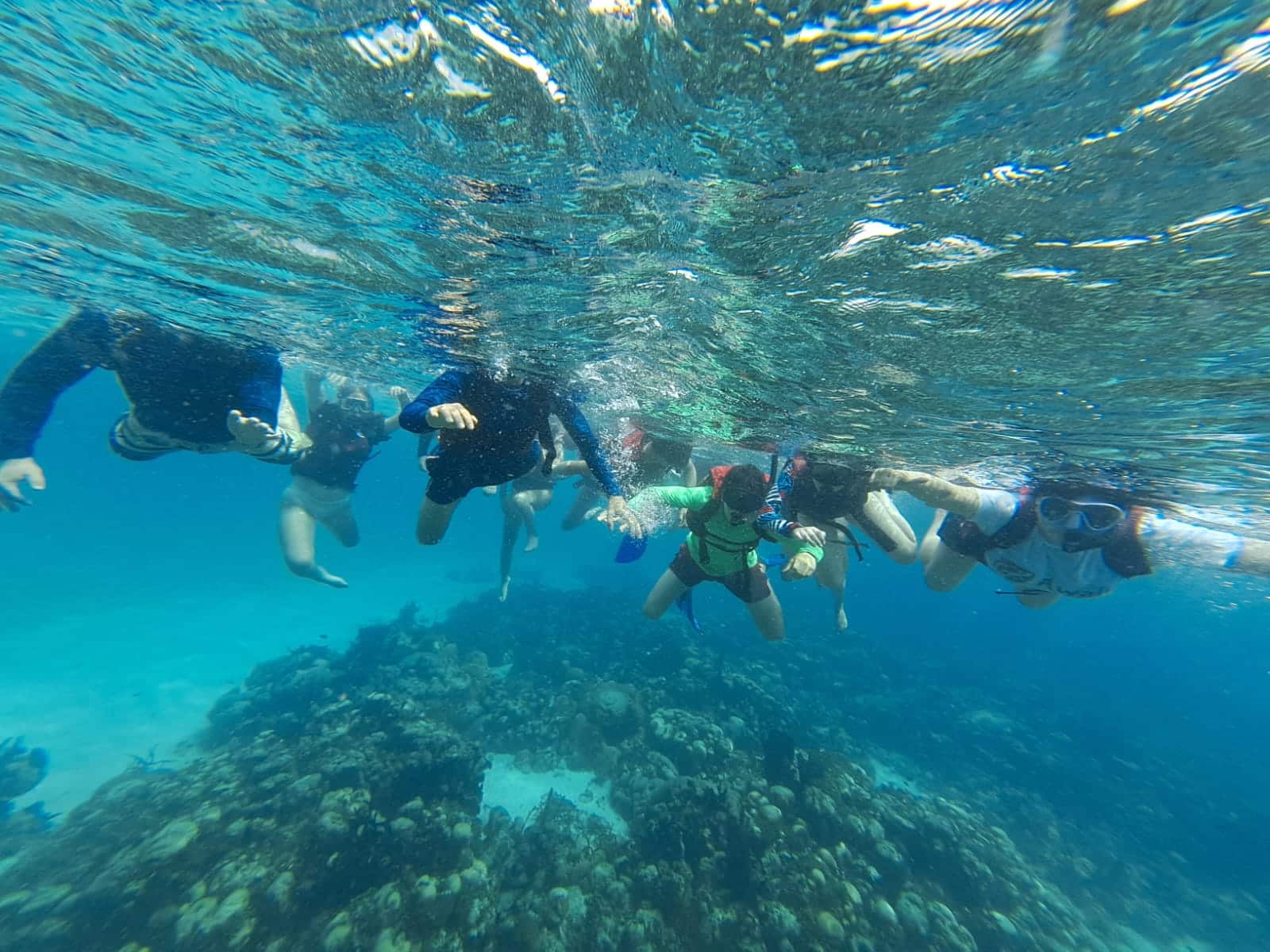 Estudiantes en una actividad de snorkel para el estudio de ecosistemas coralinos, una de las experiencias clave en cómo elegir una empresa de salidas pedagógicas en Colombia.