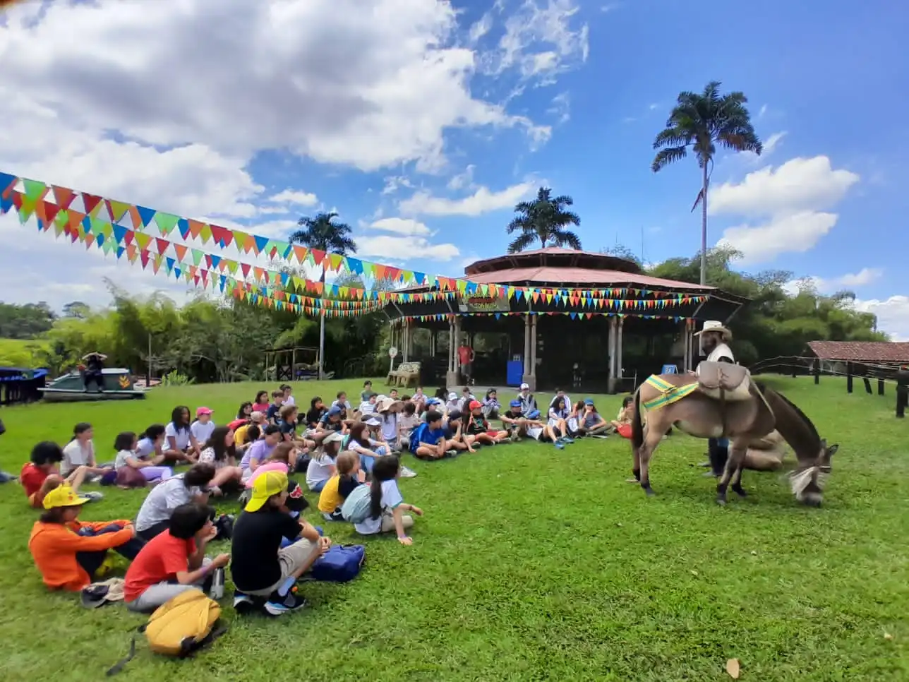 Seguridad preventiva y reactiva en excursiones