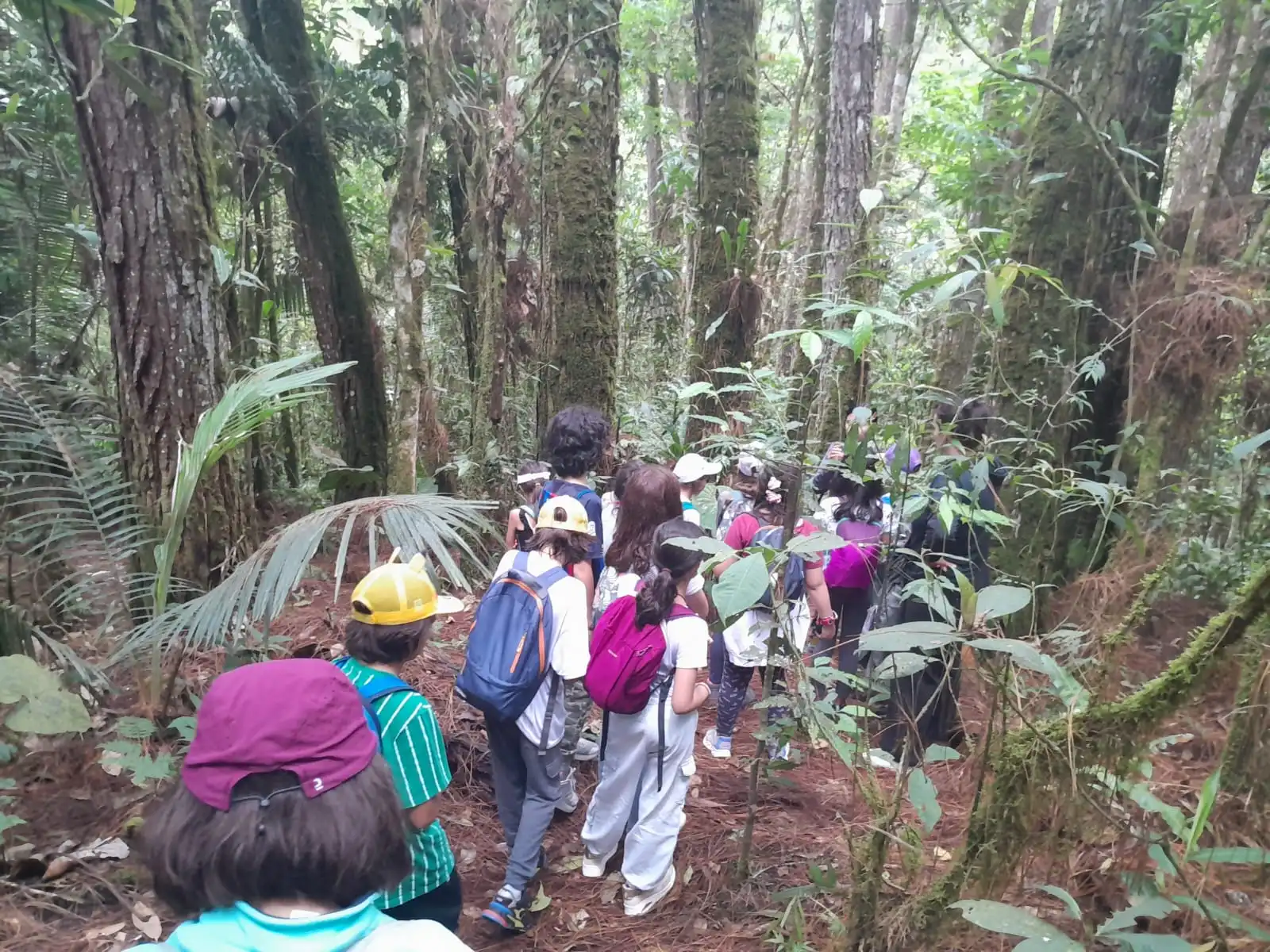 Docente guiando una actividad de educación ambiental en primaria durante una salida pedagógica con Awalí School