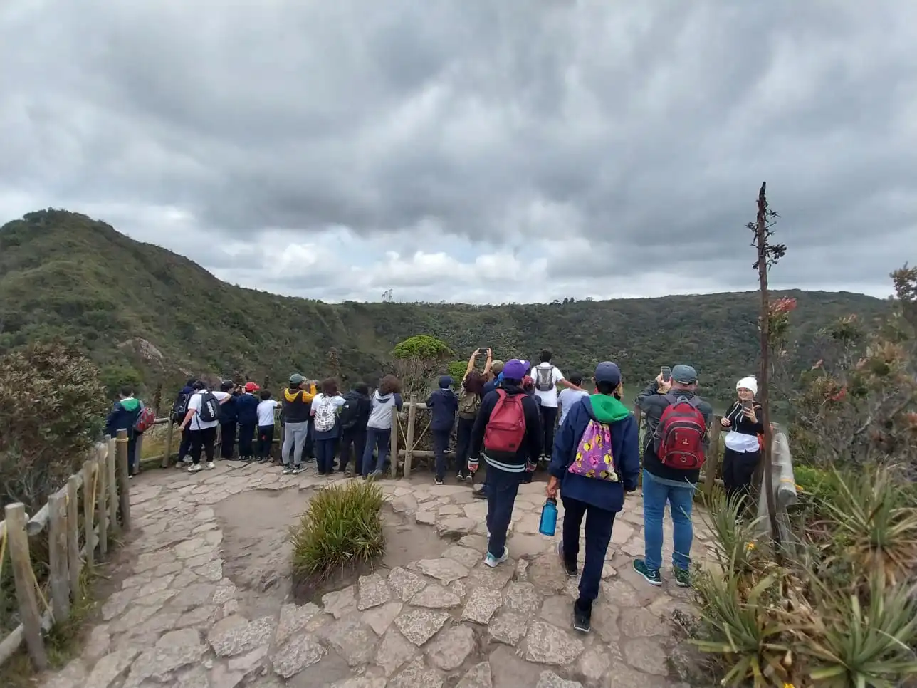 Estudiantes de primaria observando un ecosistema durante una actividad de educación ambiental experiencial con Awalí School