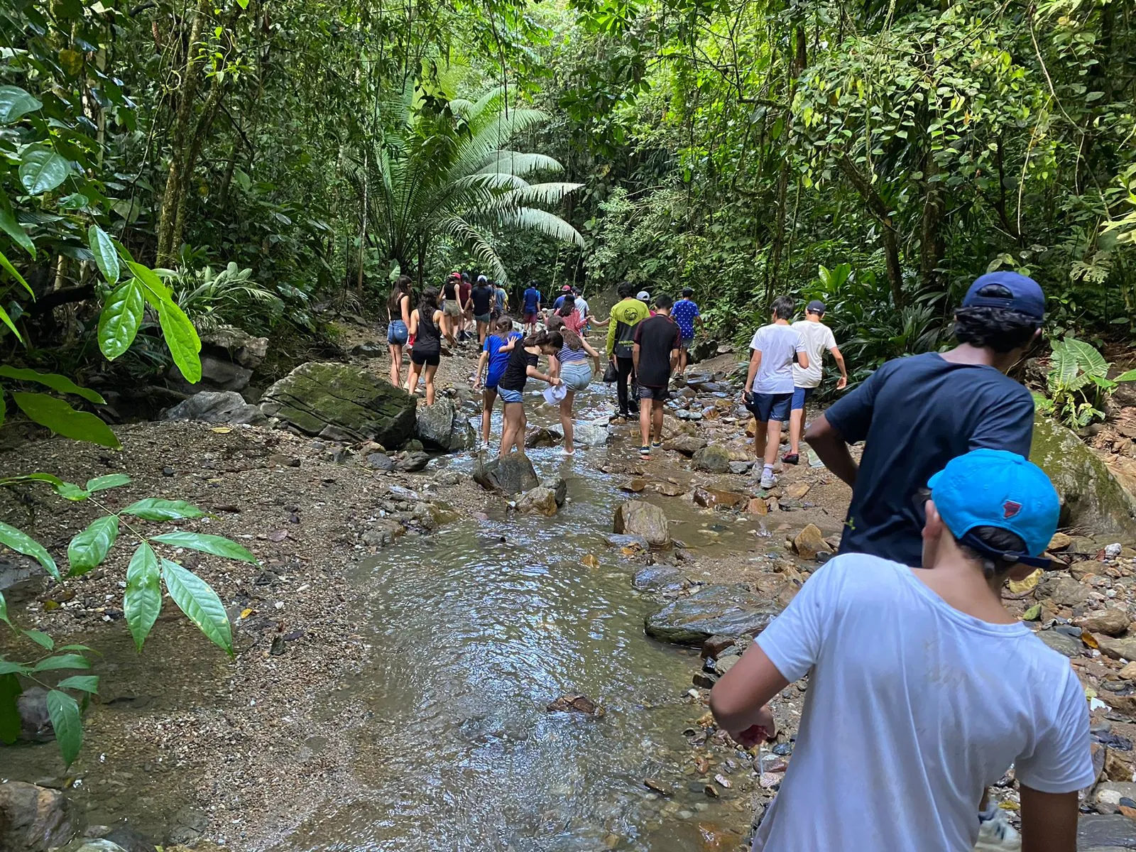 Niños explorando la naturaleza durante una salida pedagógica de educación ambiental en primaria con Awalí School en Colombia